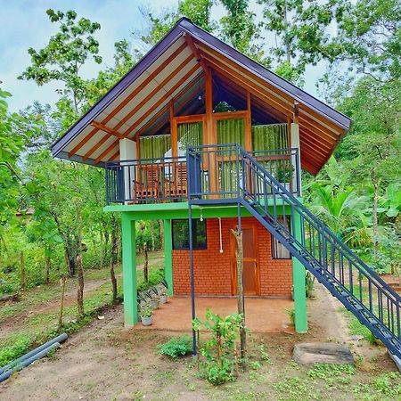 Sigiri Saat Cabana Sigiriya Exteriör bild