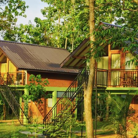 Sigiri Saat Cabana Sigiriya Exteriör bild