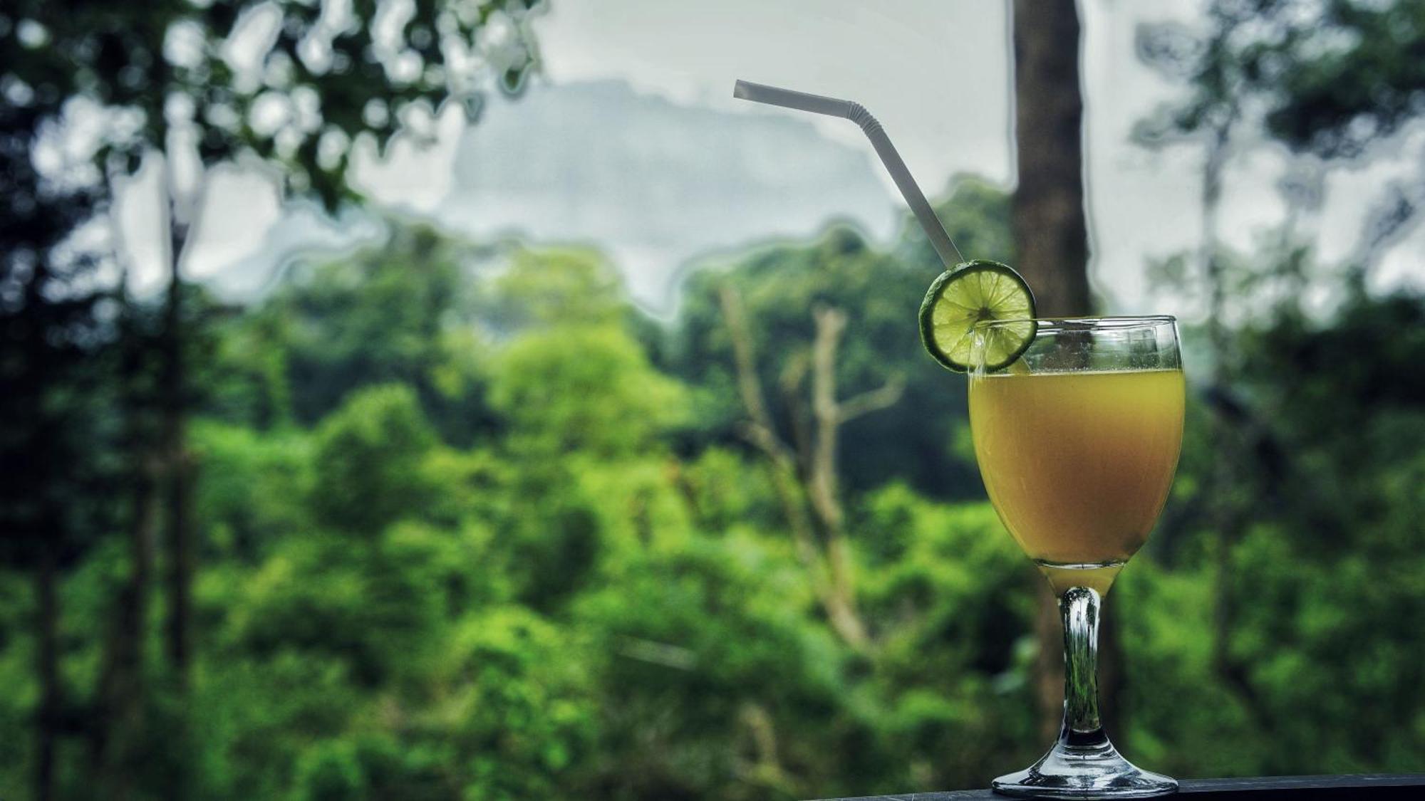 Sigiri Saat Cabana Sigiriya Exteriör bild