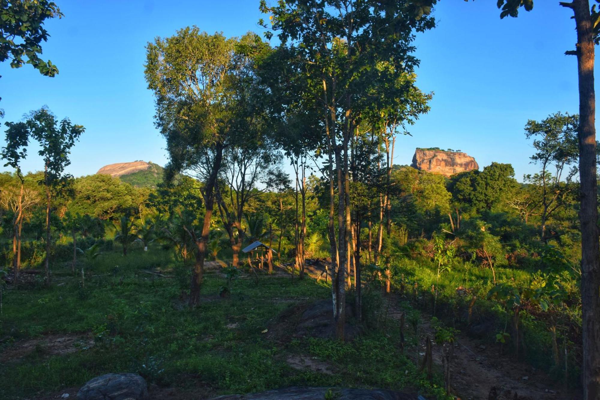 Sigiri Saat Cabana Sigiriya Exteriör bild