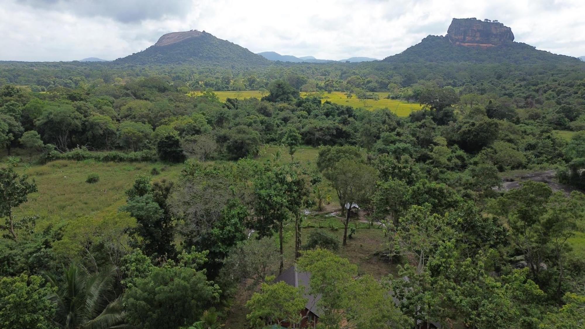 Sigiri Saat Cabana Sigiriya Exteriör bild