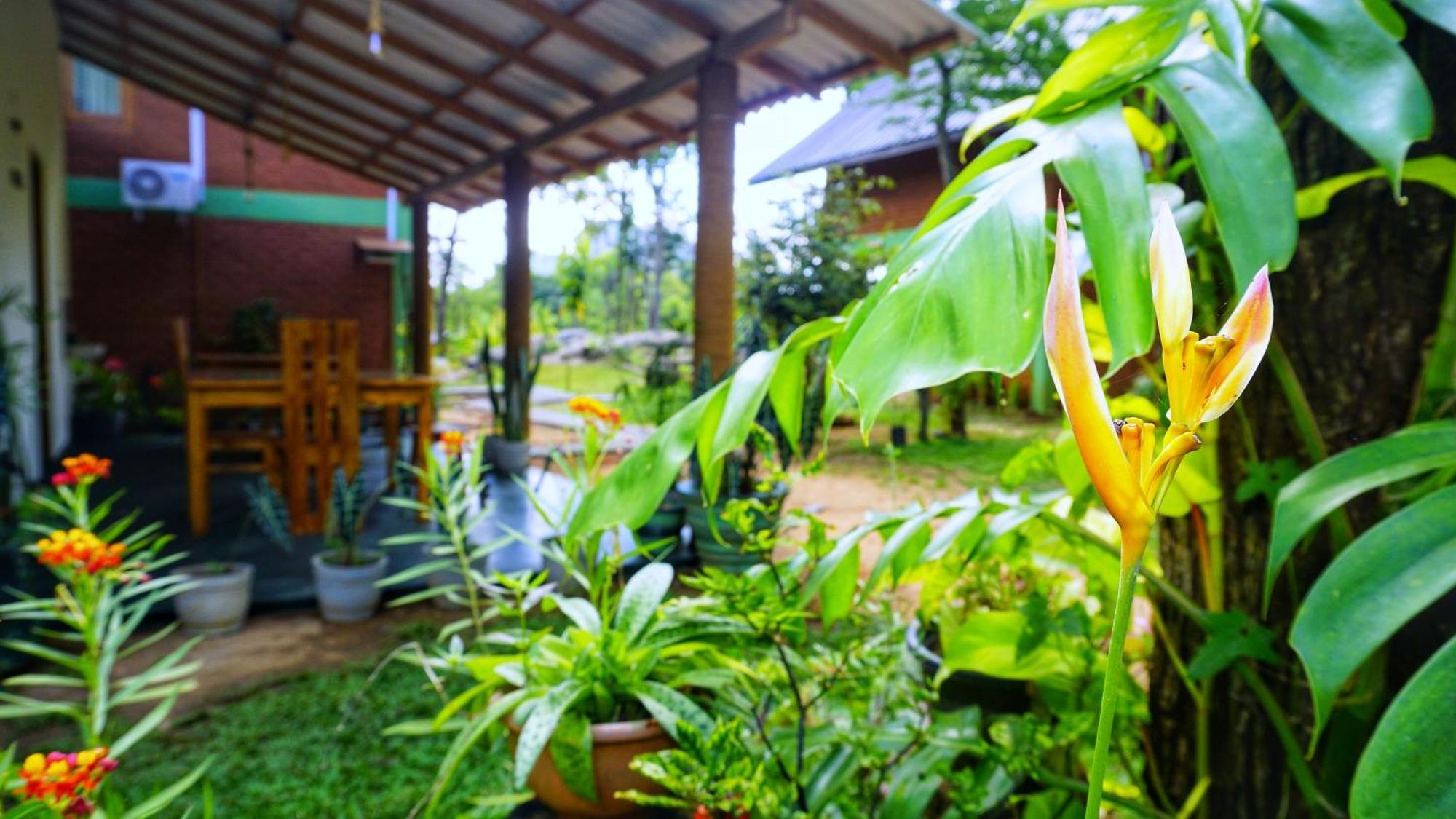 Sigiri Saat Cabana Sigiriya Exteriör bild